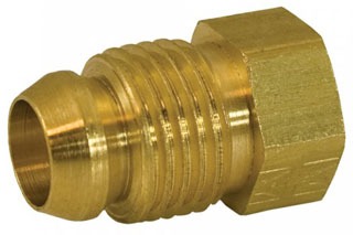 JONESSE00027_WB_012.jpg
